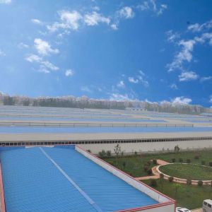 廠(chǎng)容廠(chǎng)貌